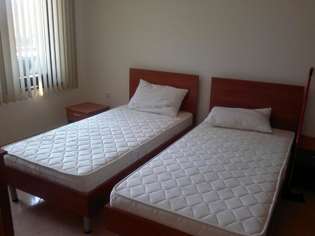 Delfin Apart Complex Sveti Vlas Rom bilde